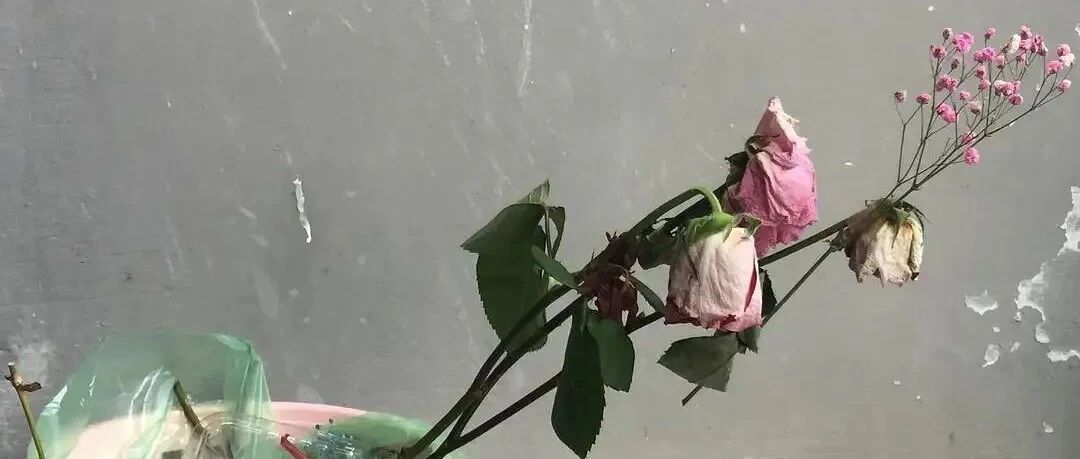 These five places at home are known as the "land of killing", and almost one pot is planted and one pot is killed. Hurry up and see if you have been recruited?