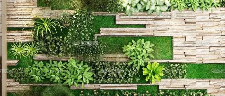 Practical sharing | Can flowers be planted indoors? Can flowers be planted on walls? Of course, and it's beautiful! If you don't believe me, look