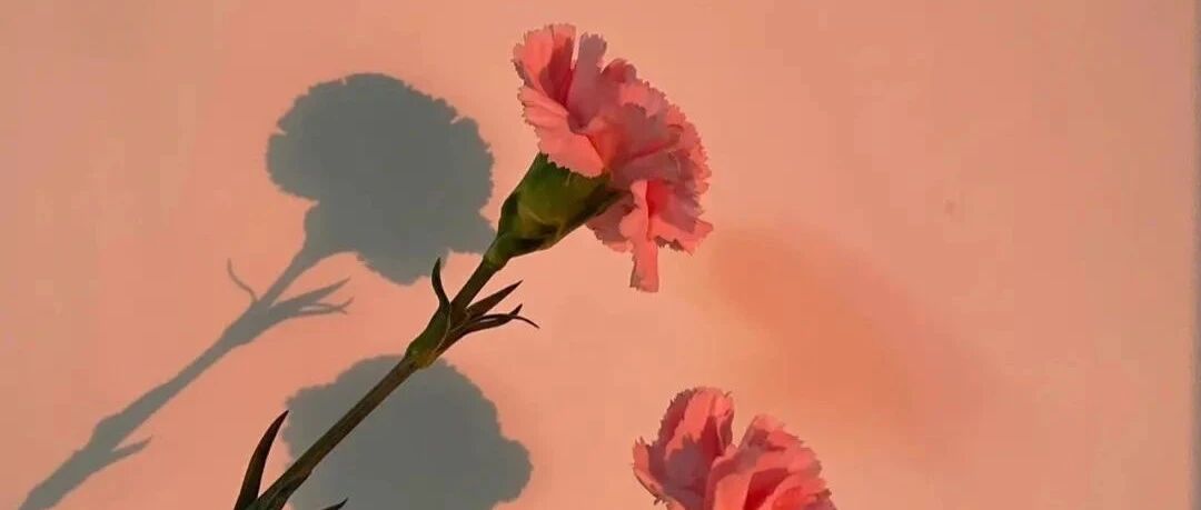 Take stock of 30 carnation varieties. Each carnation has its own name, but you only name them after red, orange, yellow, green, pink, white and purple