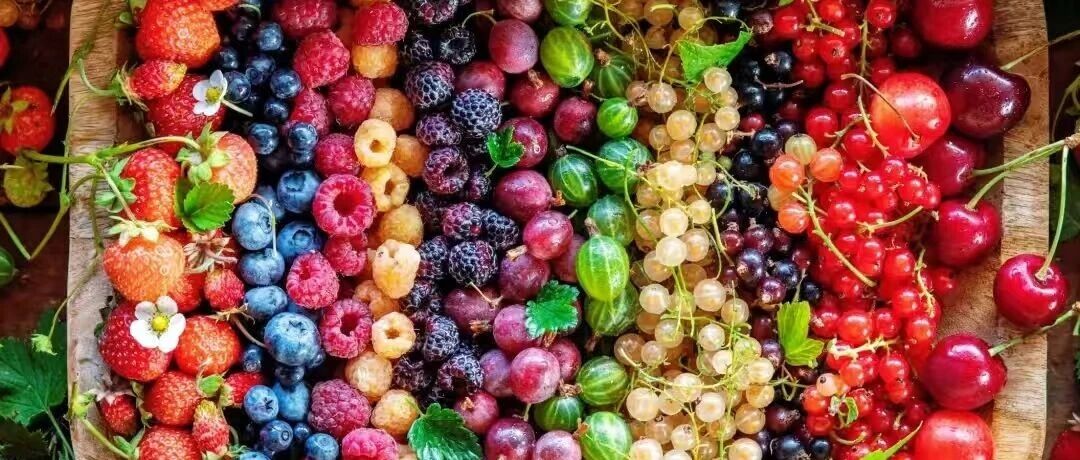 30 kinds of berries are coming! The outside is glamorous and attractive, but the inside is at its peak... The relationship is so complicated that it feels like it exposes the old background of berries