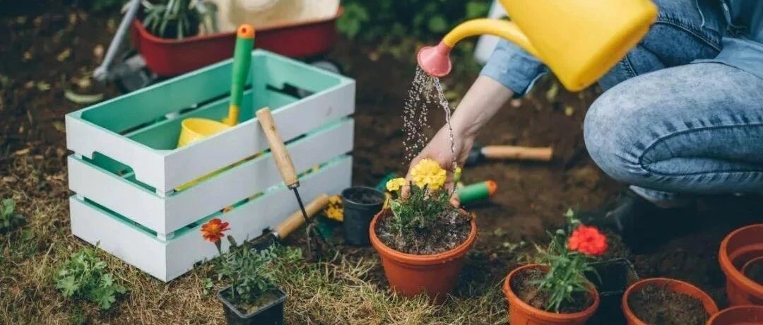 Practical sharing | What flowers to plant in autumn? 27 flowers suitable for autumn and winter planting have already been prepared for you...